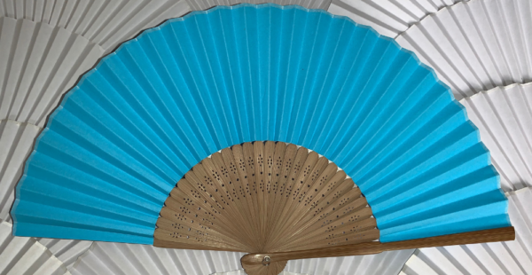 Plain Fans - £2.75 - Image 10