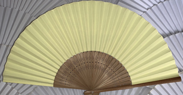 Plain Fans - £2.75 - Image 5